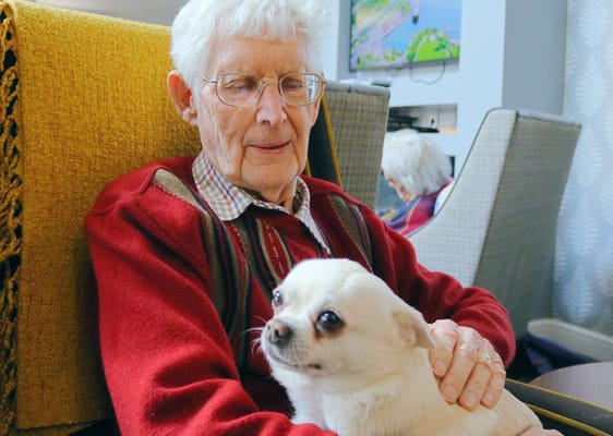 An elderly man sitting with a small dog in a communal area