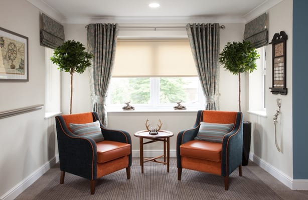 Cozy seating area with potted plants and soft furnishings