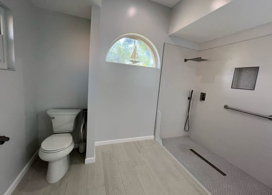 Modern bathroom with accessible shower and toilet