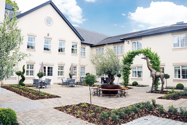 An outdoor courtyard with seating and greenery