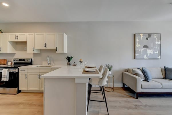 Modern interior kitchen and living area
