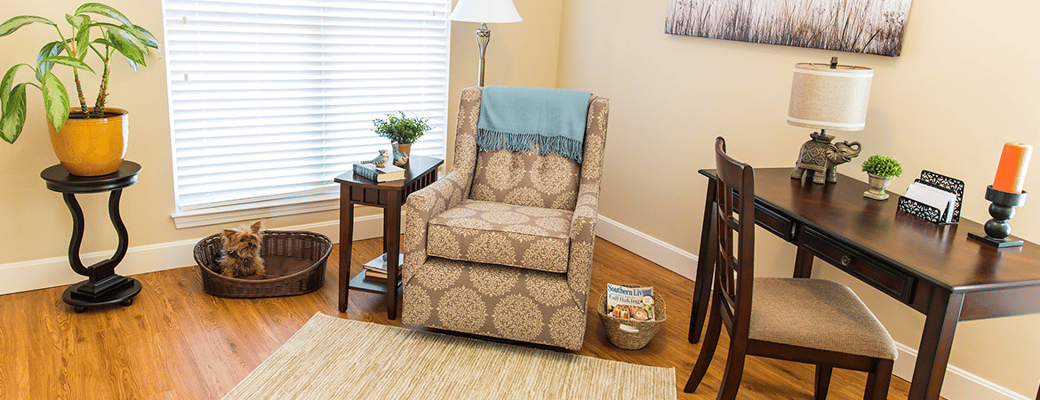 Cozy interior room with a chair and a dog