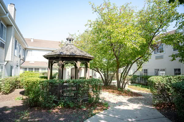 Outdoor gazebo surrounded by greenery