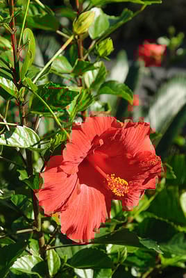 Life Care Center of Hilton Head