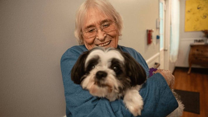 Courtyard Manor of Fenton
