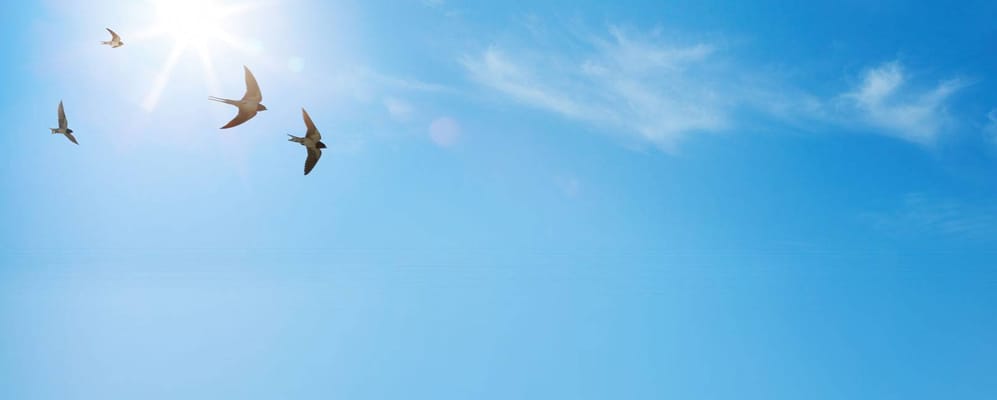 Courtyard Manor of Fenton