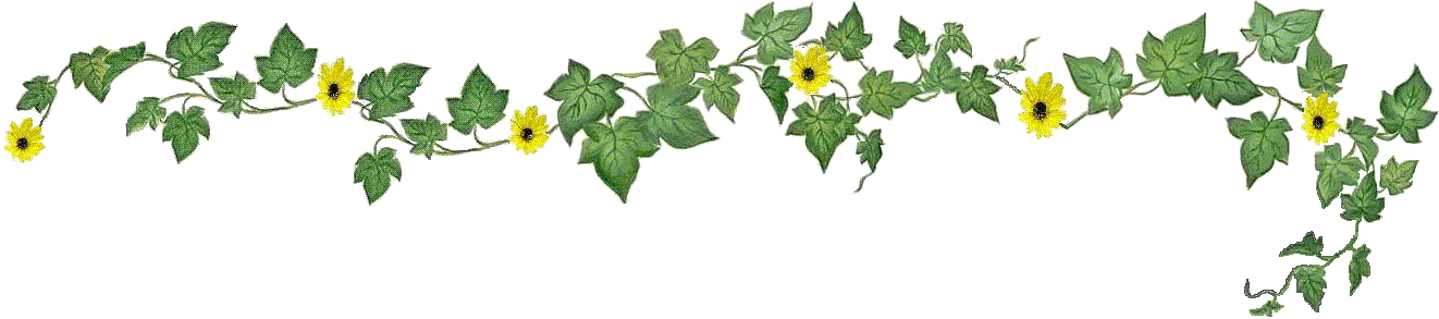 Ivy Manor of West Bend