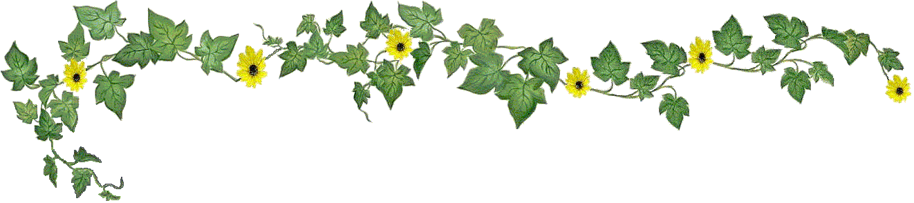 Ivy Manor of West Bend