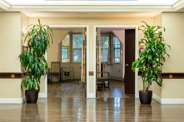 Bright interior hallway with plants and doors