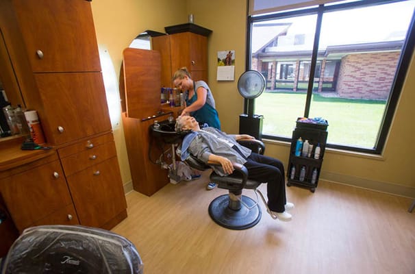 NewAldaya Lifescapes