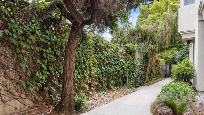 Pathway surrounded by greenery in an outdoor area