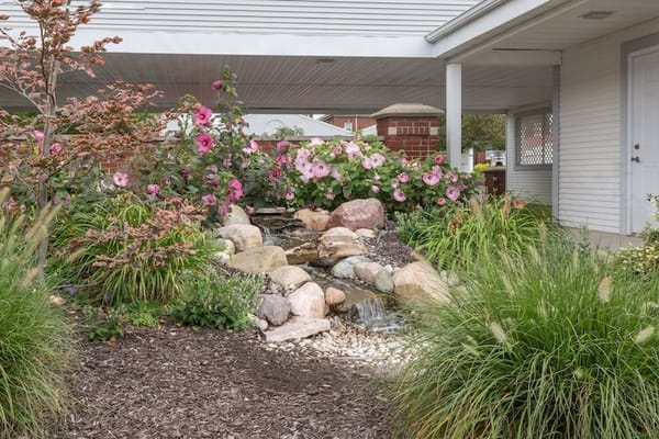A landscaped outdoor space with flowers and a small waterfall