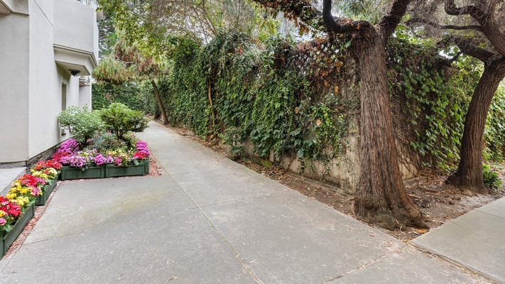 Pathway with flowers leading to a green area
