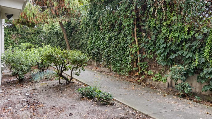 Pathway through a garden area with greenery