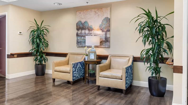 Cozy sitting area with chairs and indoor plants