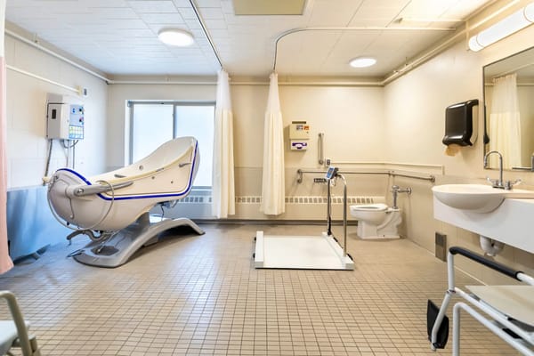 Medilodge of Ludington