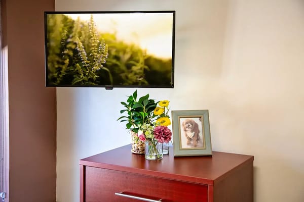 Medilodge of Ludington