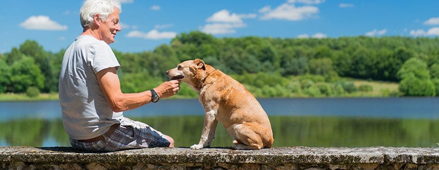 Senior man enjoying time with his dog by a lake