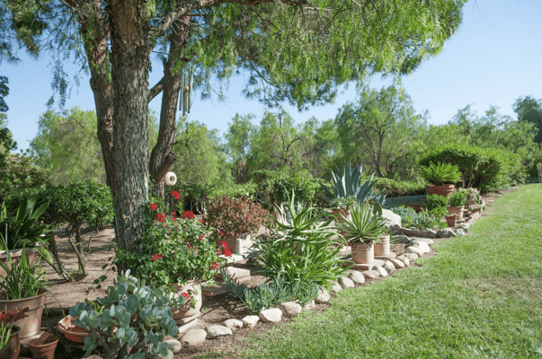 Beautiful outdoor garden area with various plants