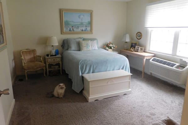 Cozy interior of a resident's room with cat