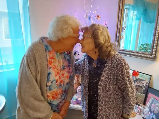 The Village at South Setauket: A Willow Ridge Senior Living Community