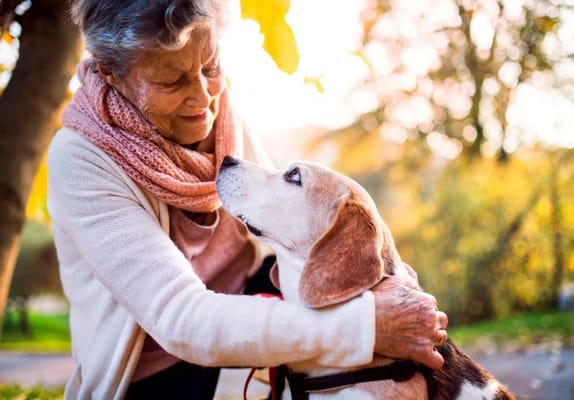 Bear Hill Rehabilitation and Nursing Center