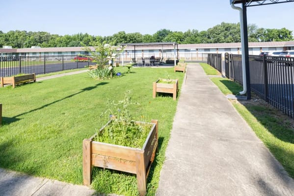 Garden area with raised flower beds and seating
