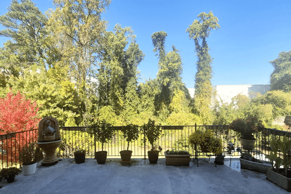 Outdoor patio with potted plants and trees