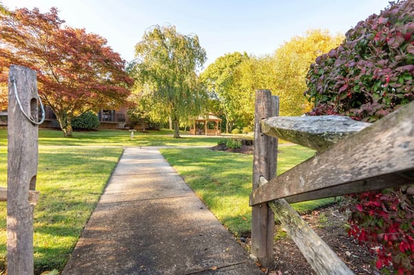 Pathway leading through landscaped garden area