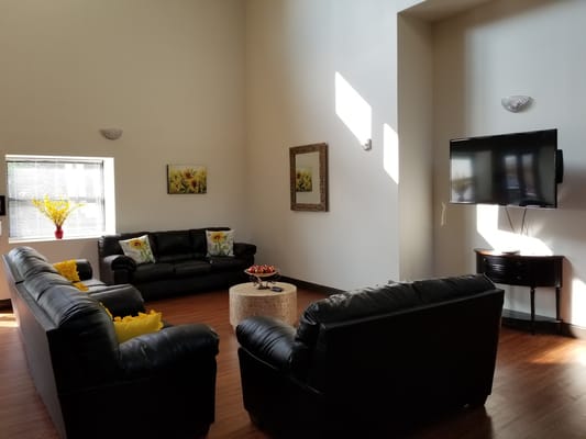Bright and cozy living room with black couches and sunlight