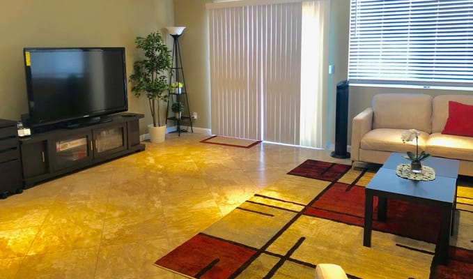 Living room with a TV, couch, and decorative plants
