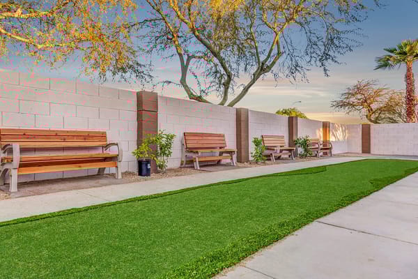 Outdoor courtyard with benches and green turf