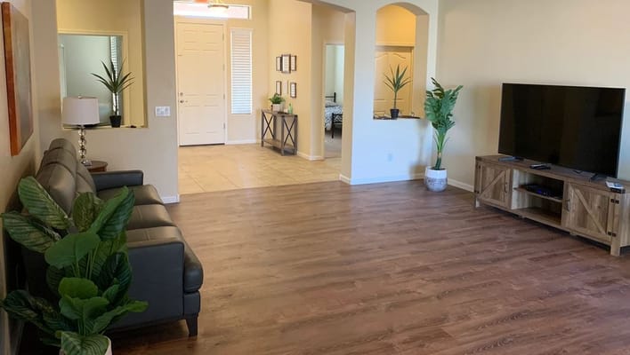 Bright interior of a living space with plants and furniture