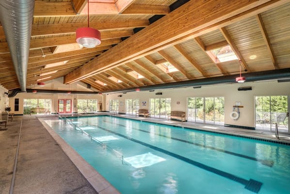 Indoor swimming pool with wooden ceiling and large windows