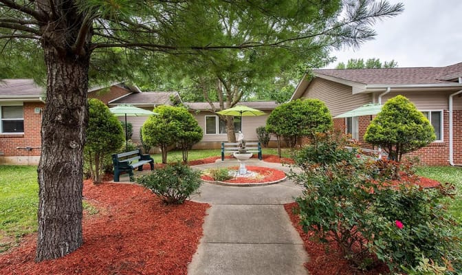 Outdoor garden area with benches and greenery