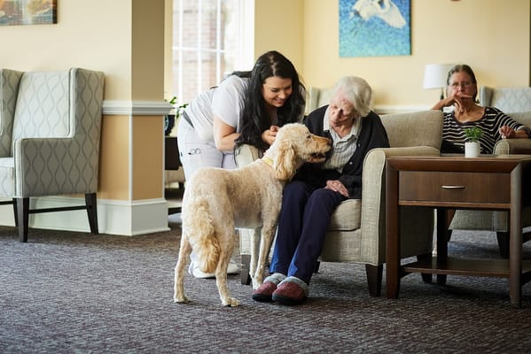Staff member interacting with a resident and a dog in a cozy common area