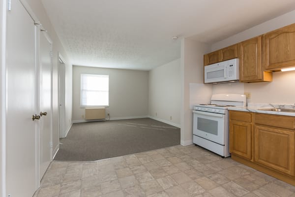 Spacious kitchen and living area with windows and appliances