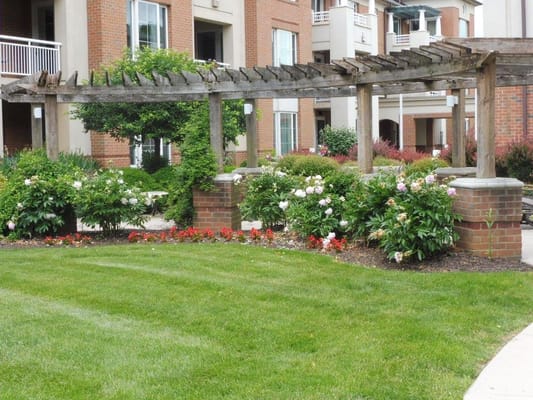 Beautiful outdoor garden with flowers and greenery