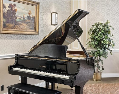 Grand piano in a decorated interior space