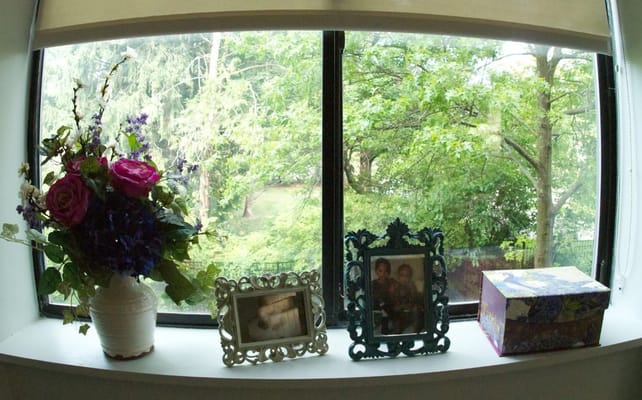 View of a window with flowers and photos