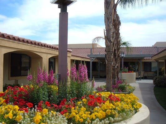 Vibrant courtyard with blooming flowers at ManorCare Health Services