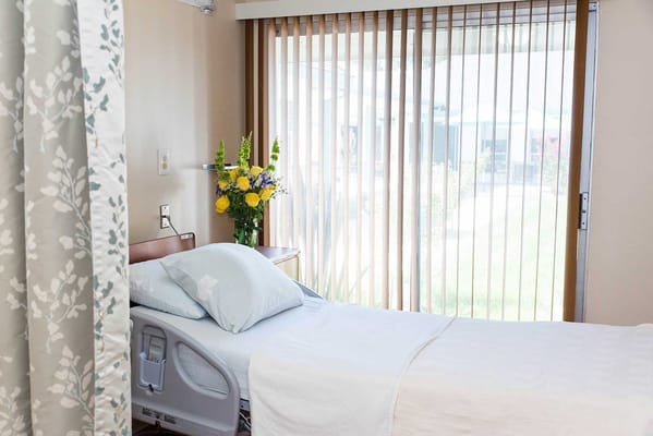 A well-lit bedroom with a bed, pillows, and a vase of flowers by the window.