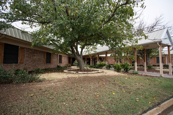 Garden area with trees at Mulberry Manor