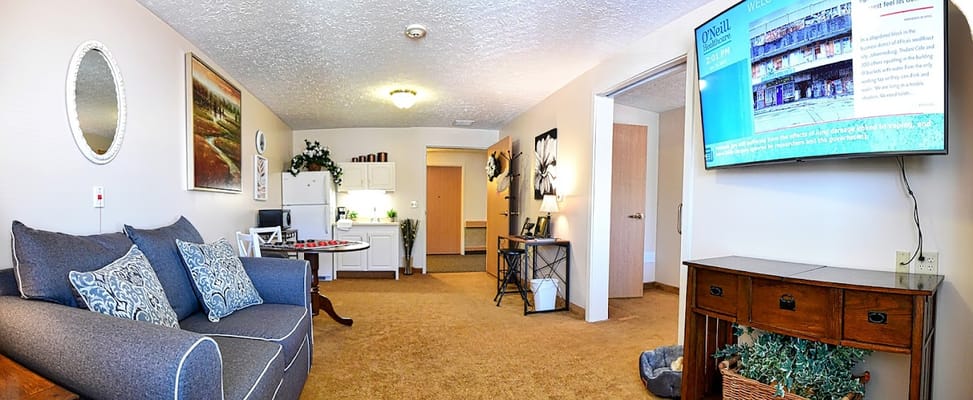 Cozy living room with a sofa and kitchenette
