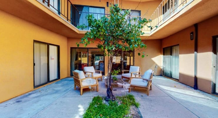 Outdoor seating area with chairs and a tree
