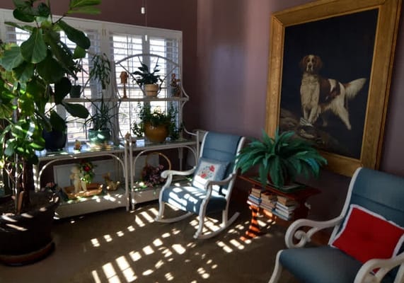 Cozy living room with rocking chairs and plants