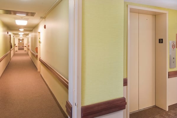 Bright hallway featuring an elevator and green walls.