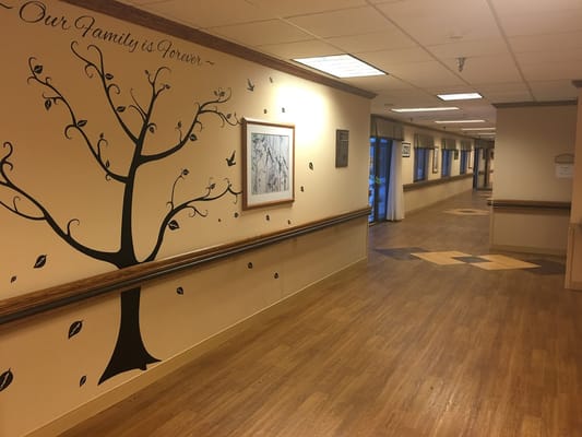 A hallway with a tree mural and framed artwork