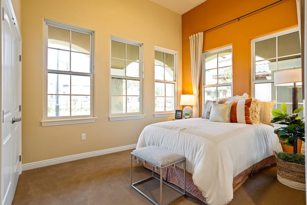 Bright bedroom with a bed, decorative pillows, and windows