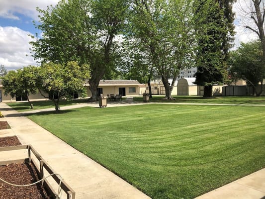 Well-maintained courtyard with green grass and trees at The Orchards Post-Acute
